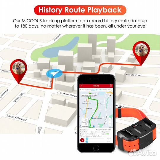 Gps ошейник для собак новый