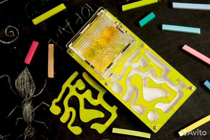 Формикарий / Муравьиная ферма