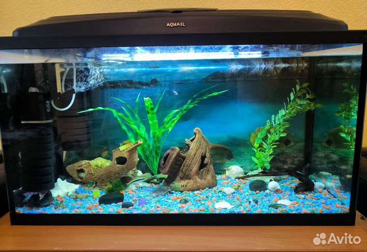 Аквариум с рыбками и всем содержимым