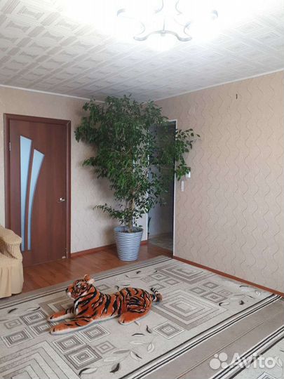 Фикус бенджамина