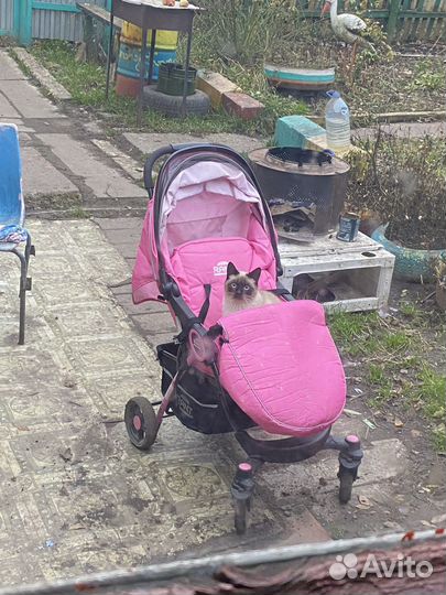 Прогулочная коляска