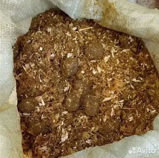 Конский навоз с опилками
