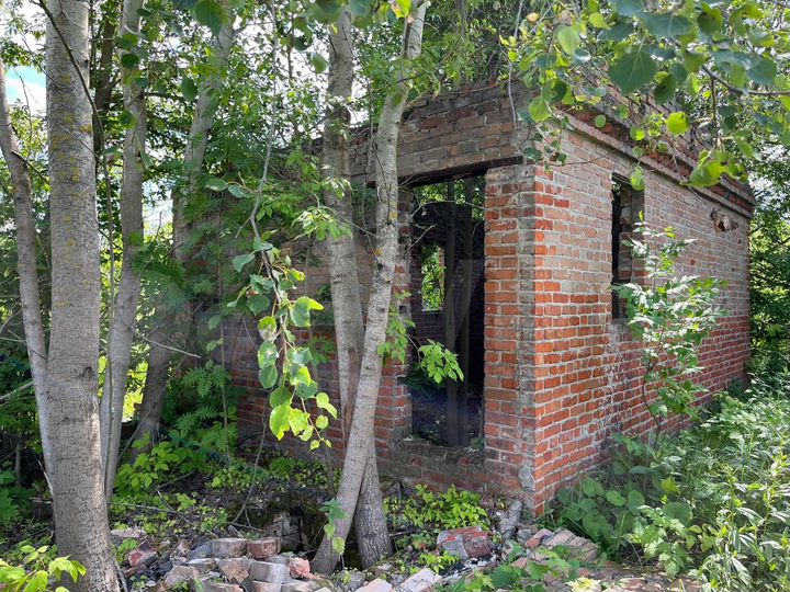 Участок 22 сот. (ИЖС)