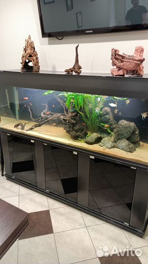 Обслуживание аквариумов