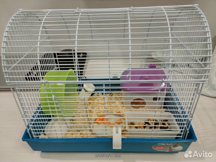 Джунгарский хомяк с клеткой