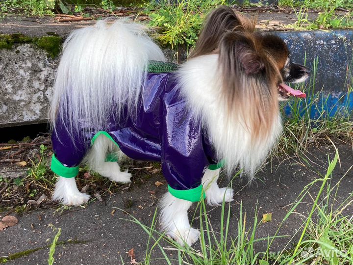 Одежда для собак «Фифа»