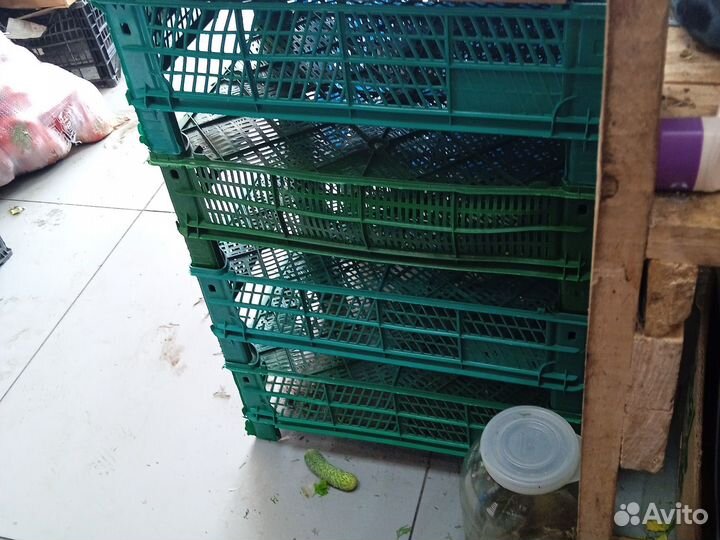 Пластиковые ящики бу