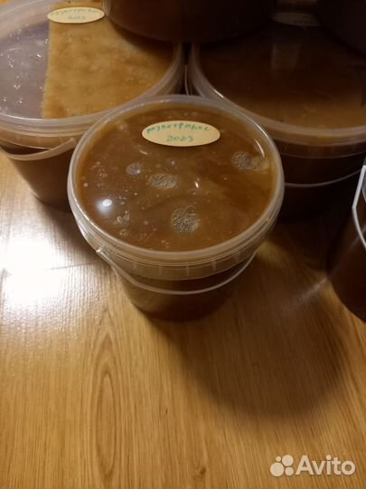 Мед алтайский 2023 разнотравье