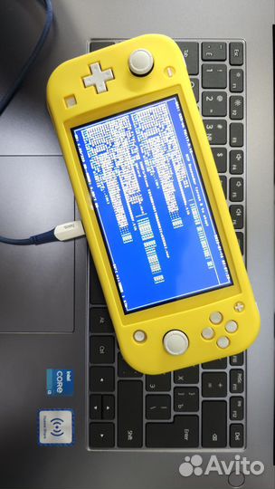 Таблетка от жадности Nintendo switch