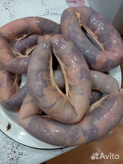 Конина, казы (казылык), шужук