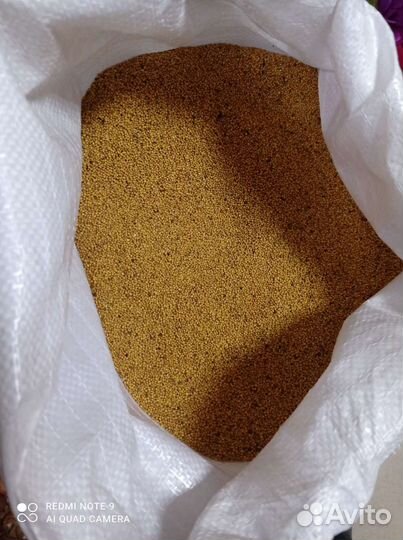 Семена горчицы