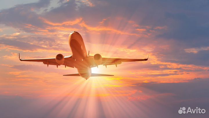 Вахта 15,20,30,45 Аэропорт Упаковщик Москва Проезд