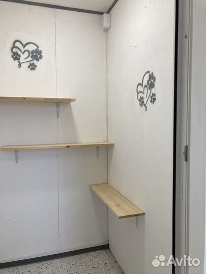 Зоогостиница для кошек. Зооотель.Передержка