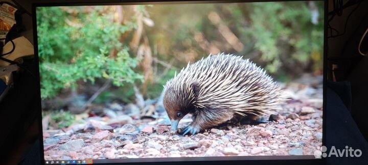 Монитор asus vg27aql1a
