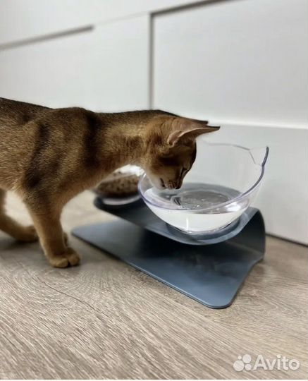 Подставка для кормления собак