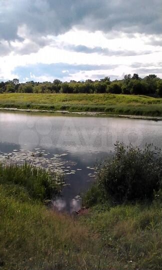 Участок 39 сот. (ИЖС)