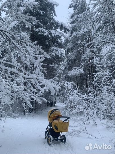 Универсальная коляска Camarelo Carmela (3 в 1)