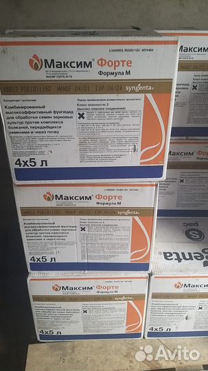 Максим Форте