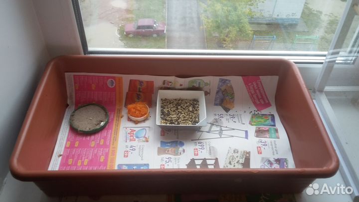 Клетки для птиц