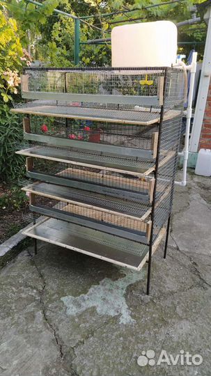 Клетки для перепелов