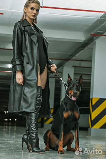 Фотосессия с доберманом