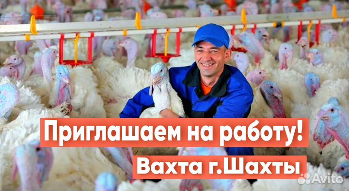 Разнорабочие на птицефабрику вахта г.Шахты