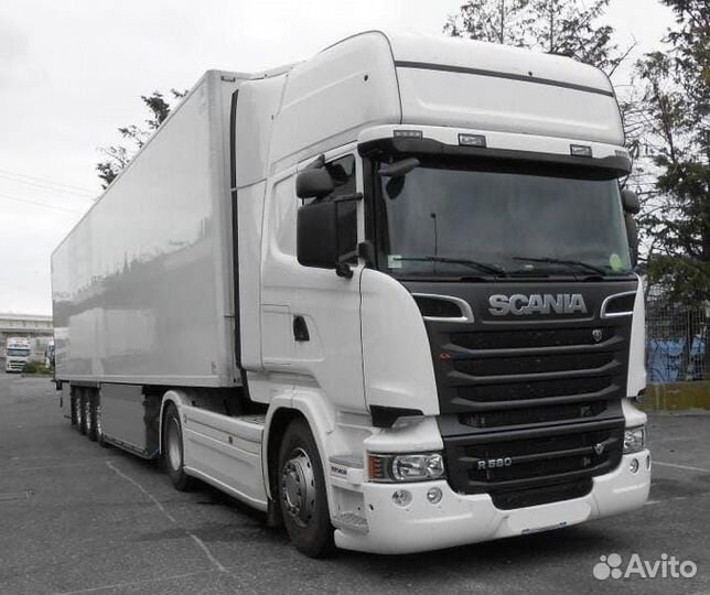 Водитель категории Е на реф или штору (вахтой)