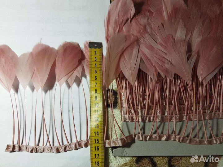 Перья на ленте, Перья страуса на ленте