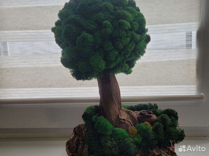 Бонсай Топиарий