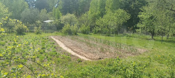 Участок 12 сот. (СНТ, ДНП)