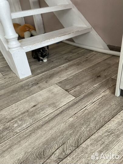 Отдам в добрые руки