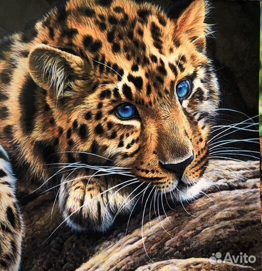 Кулирка с лайкрой ткань