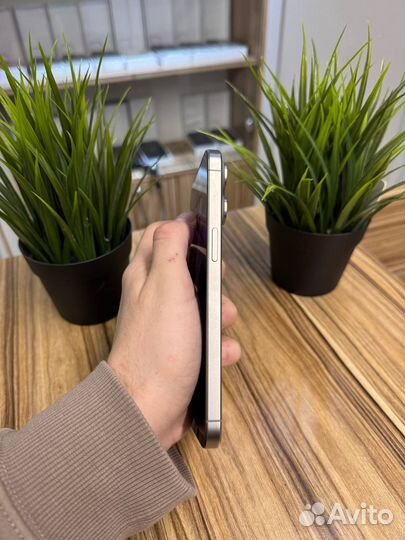 iPhone 15 Pro Max, 512 ГБ