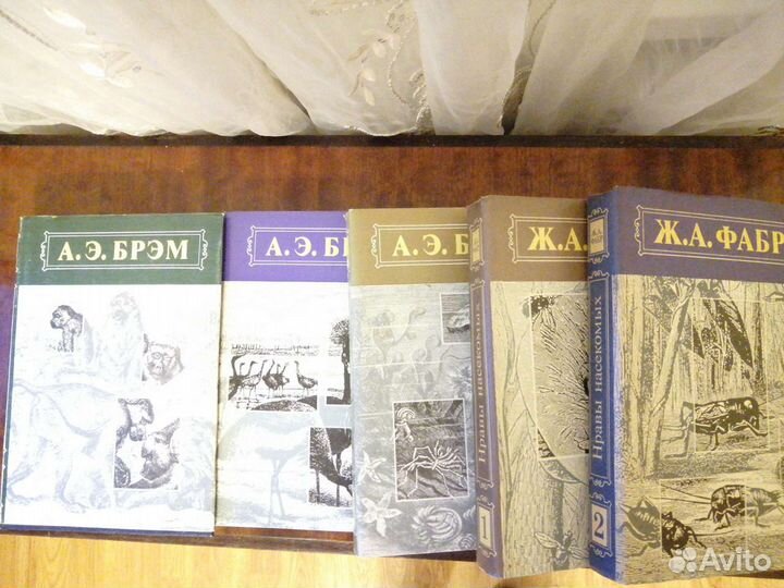 Брэм А.Э, Фабр Ж.А