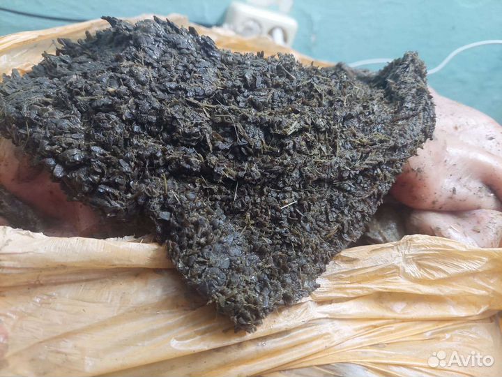 Мясо и кости для собак