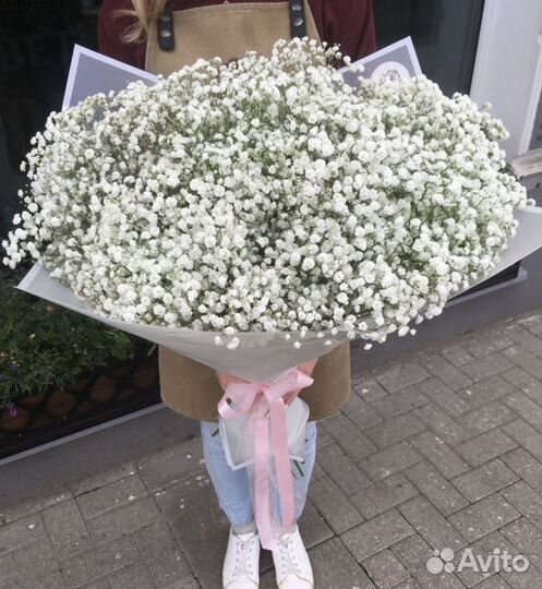 Гипсофилы от производителя. Доставка в срок 24/7