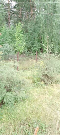 Дача 64 м² на участке 13 сот.