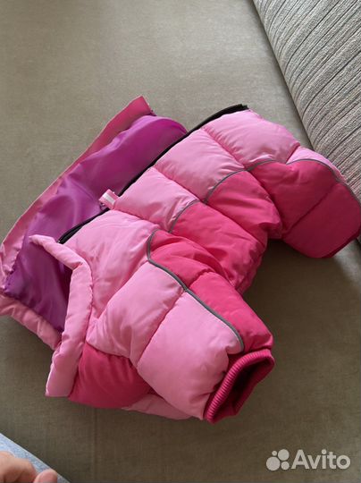 Одежда для собак