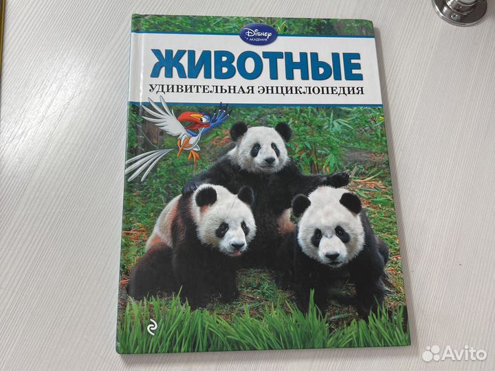 Детские энциклопедии