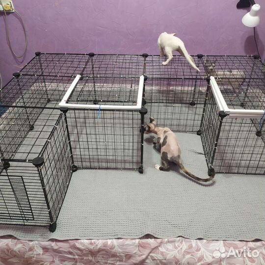 Вольер для выращивания животных мелких пород