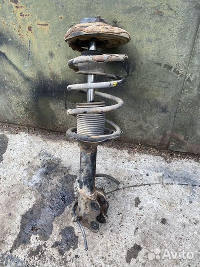 Передняя правая стойка Nissan Pulsar N15