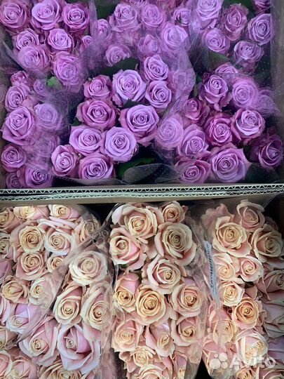 101 роза, 51 роза, 25 роз