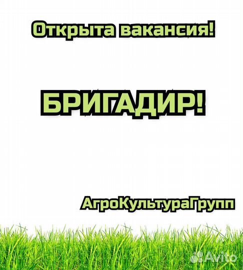 Бригадир