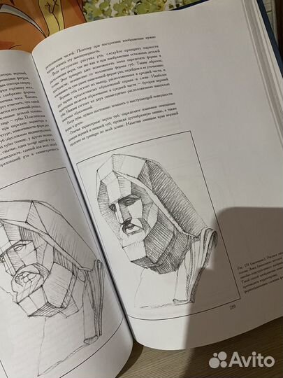 Основы академического рисунка