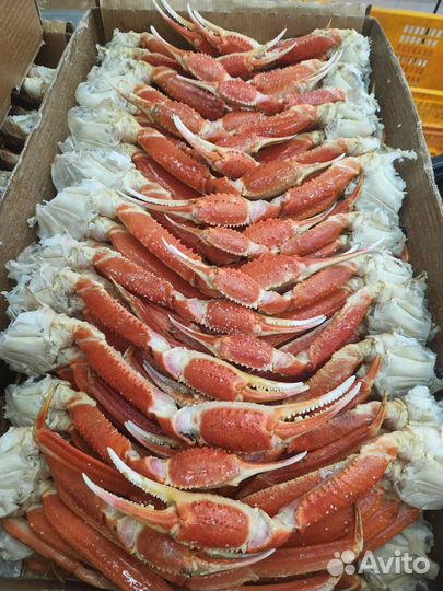 Морепродукты оптом (отправка в регионы)