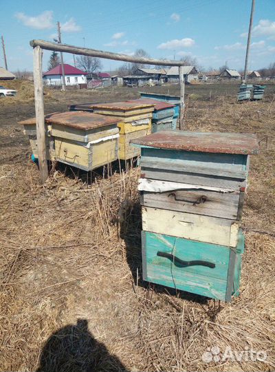 Пчелоинвентарь