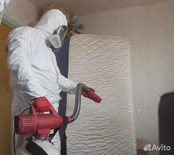 Уничтожение клопов тараканов Холодным Туманом