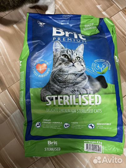 Корм для стерилизованных кошек Brit