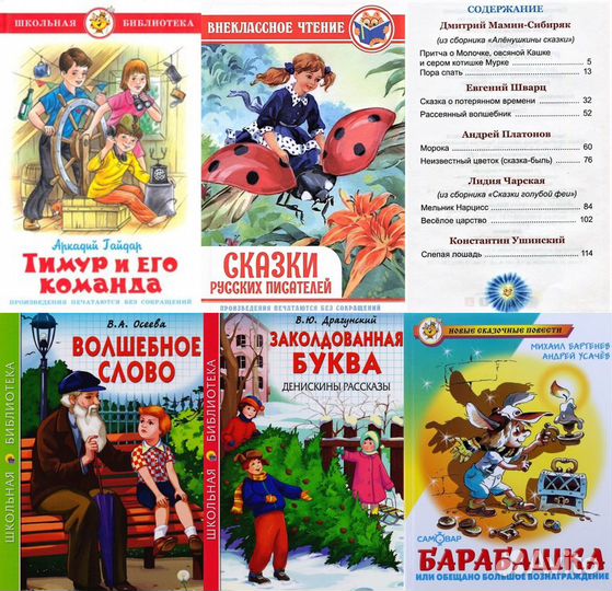 Школьная библиотека (книги новые)