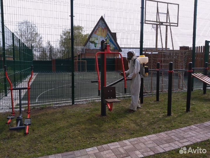 Дезинфекция, уничтожение тараканов